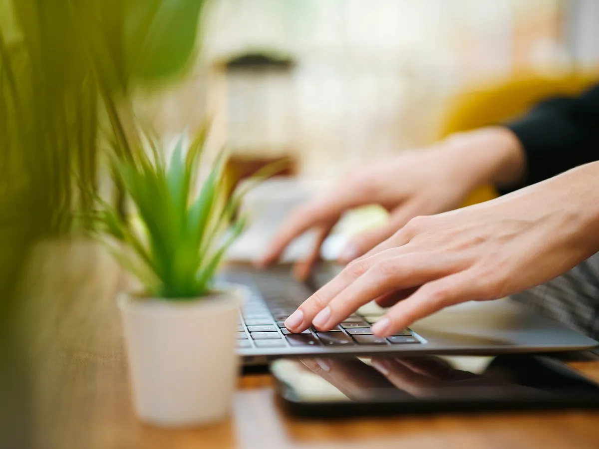 Hands typing on a laptop at a wooden table beside a small potted plant
