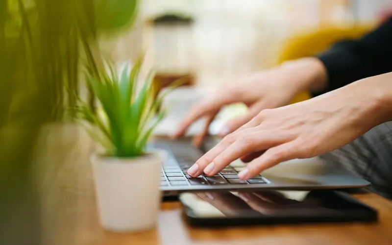 Hands typing on a laptop beside a small plant